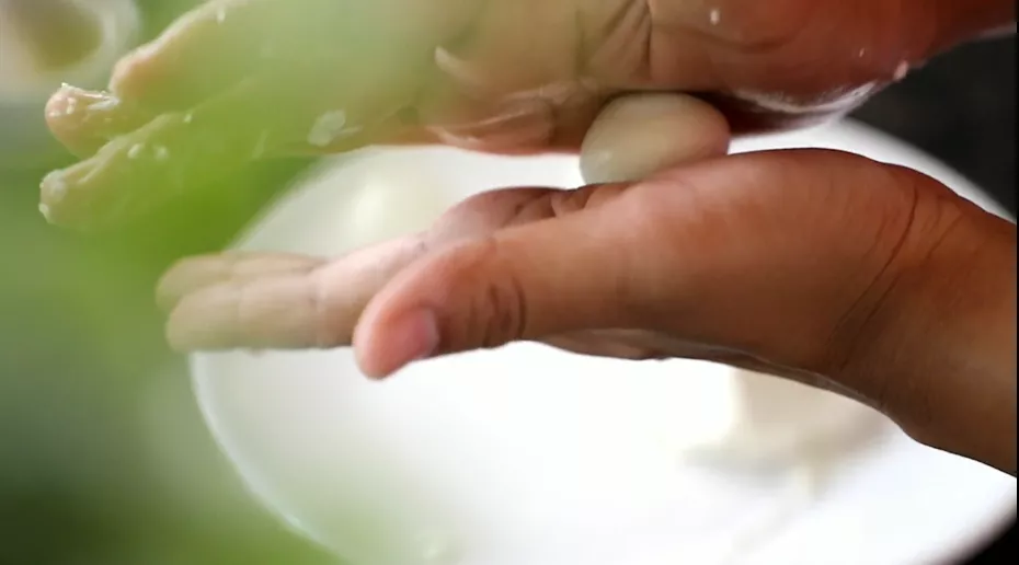 Mango Rasmalai Recipe